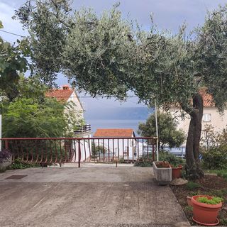 Apartman Novi Vinodolski - CKN878 (4)