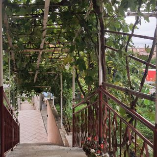 Apartman Novi Vinodolski - CKN877 (5)