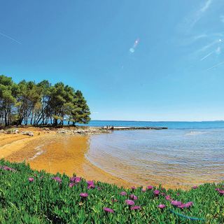 Apartman Vir - CDY101 (4)