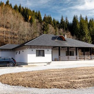 Pensiunea Lizucăi Botoş (4)