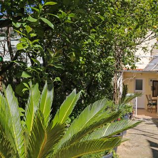 Apartman Dubrovnik - CDD791 (2)