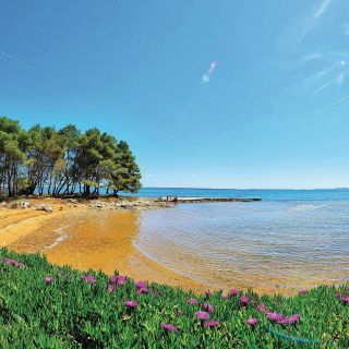 Apartman Vir - CDY262 (5)