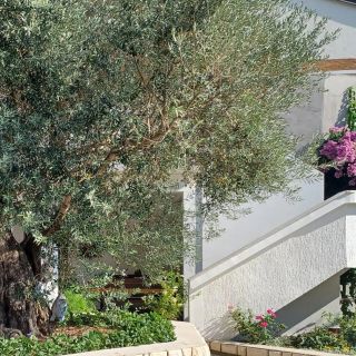 Apartman Palit - CKR937 (4)