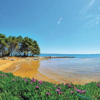 Apartman Vir - CDY078 (5)