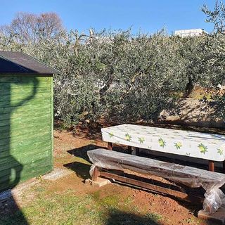 Apartman Vabriga - CID037 (5)