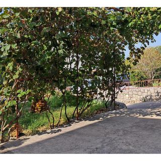 Apartman Dramalj - CKA428 (5)