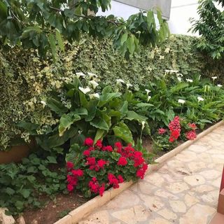 Apartments Villa Sarajevo Vodice (2)