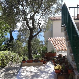 Apartments and Room Marin Brela (3)