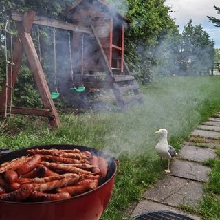 Słoneczne pokoje Łeba (5)