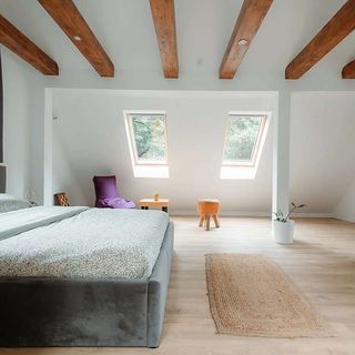 Cabana La Pomme Groși (5)