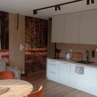 Apartament Black Hill GINGER blisko Zieleńca (2)