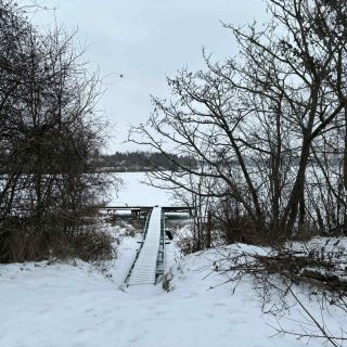 Sárga Rigó Fogadó Dunapataj (4)