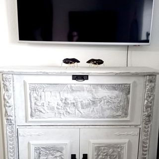 Adago Apartamenty Oaza (3)