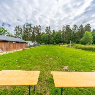 Domki nad rozlewiskiem Barkowo (5)