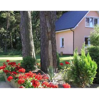 Domki Liwia Niechorze (5)