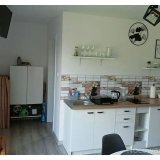 Lawendowy Zakątek Zagaje (3)