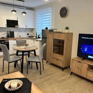 Apartament 42 Sosnowiec (2)