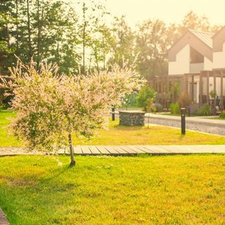 Baltic Natur Park - Holiday Resort Niechorze (3)