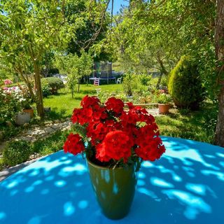 Apartments Angela Supetarska Draga (5)