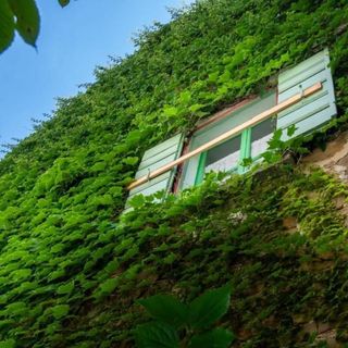 Apartment Da Lia Momjan (5)