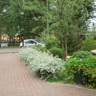 Domki Letniskowe u Stasia Pobierowo (5)