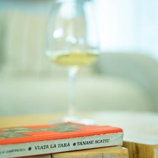 Casa din Livadă - Jabenița băi (3)