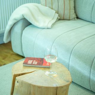 Casa din Livadă - Jabenița băi (4)