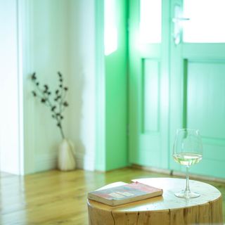 Casa din Livadă - Jabenița băi (5)