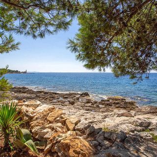 Vendégház Milna - CDB855 (5)