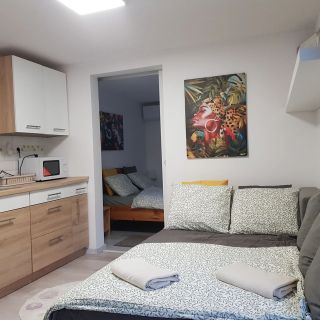 Sunny Apartman Fonyódliget (4)
