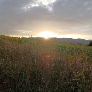 Nádas Üdülőház Diósjenő (2)