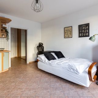 Apartament Ogrodowa 17 Ataner przy Starym Browarze Poznań (3)