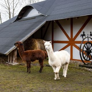 Ranczo Targówka - glampy i domy Malanów (5)