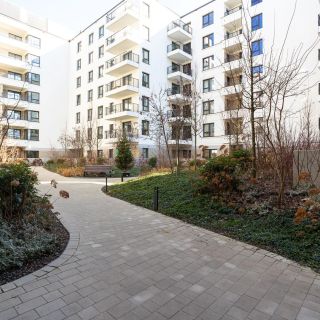Nowoczesne Studio "Modena" - Serce Jeżyc Poznań (5)