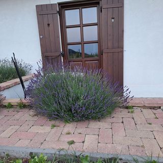 Casa Beata Lesencetomaj (5)