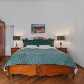 Casa Doseanu - Palatul Stern Historic Apartment Oradea (3)