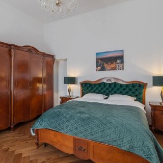 Casa Doseanu - Palatul Stern Historic Apartment Oradea (4)