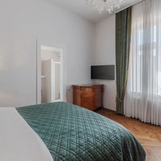 Casa Doseanu - Palatul Stern Historic Apartment Oradea (5)