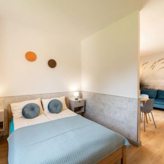 Apartamenty Brzozowe Zacisze (2)