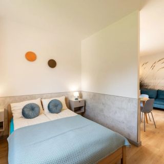Apartamenty Brzozowe Zacisze (4)