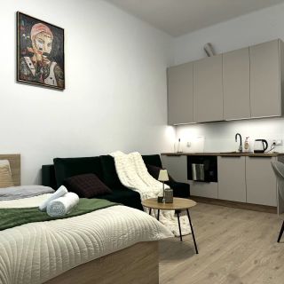 Comfy Apartment next to Main Station Old Town Kraków (5)