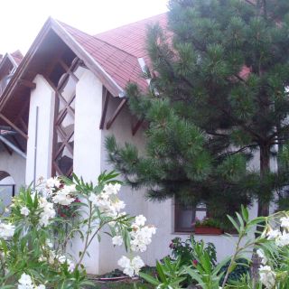 Kertész Vendégház Balatonszabadi (3)