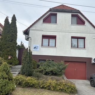 Rigódal Vendégház Eger (2)