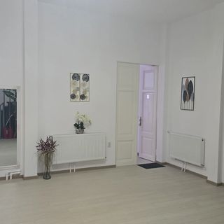 Vila Belvedere Brăila (4)