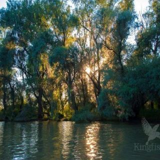 Hotel Plutitor Kingfisher Uzlina (4)