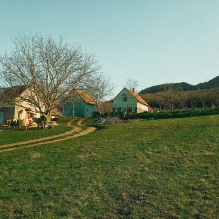 Erdődi Birtok - Dióliget Nemesgulács (4)