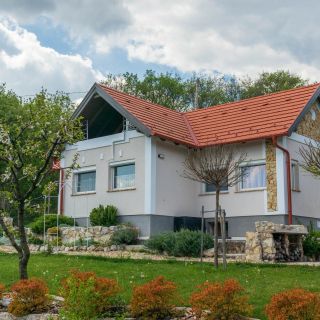 Comfort House w AC by NW Balatonudvari (5)