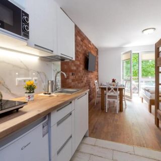 Villa Kliwer 50 metrów od morza Rowy (3)