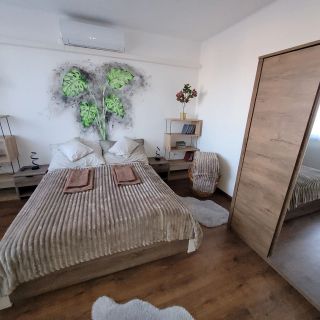 Filó Apartman Tiszalök (3)