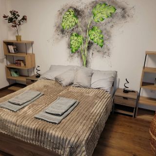 Filó Apartman Tiszalök (5)